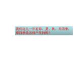 商务星球版地理七年级上第一章《地球的公转》参考课件