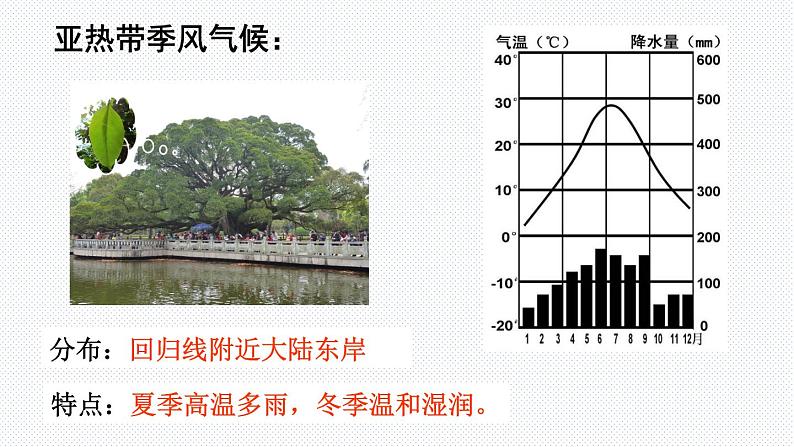 3.4 世界的气候 第二课时课件06