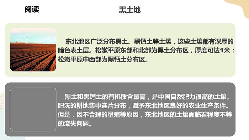 湘教版八年级地理下6.3东北地区的产业分布 课件第6页