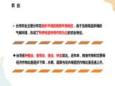 湘教版八年级地理下册8.2   台湾省的地理环境与经济发展 第2课时 课件