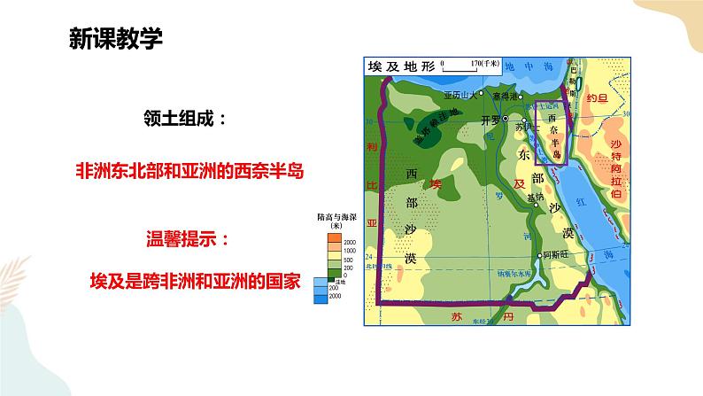 8.2埃及（1） 课件+教案+导学案05