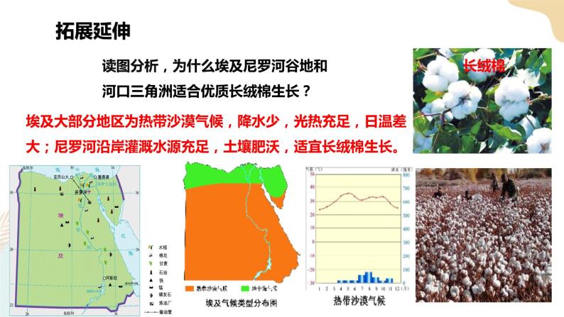 8.2埃及（2） 课件+教案+导学案08