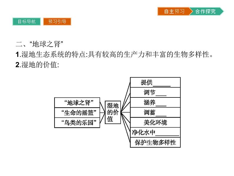 初中地理 湘教版 必修3 第二章 第二节 湿地资源的开发与保护——以洞庭湖区为例第5页