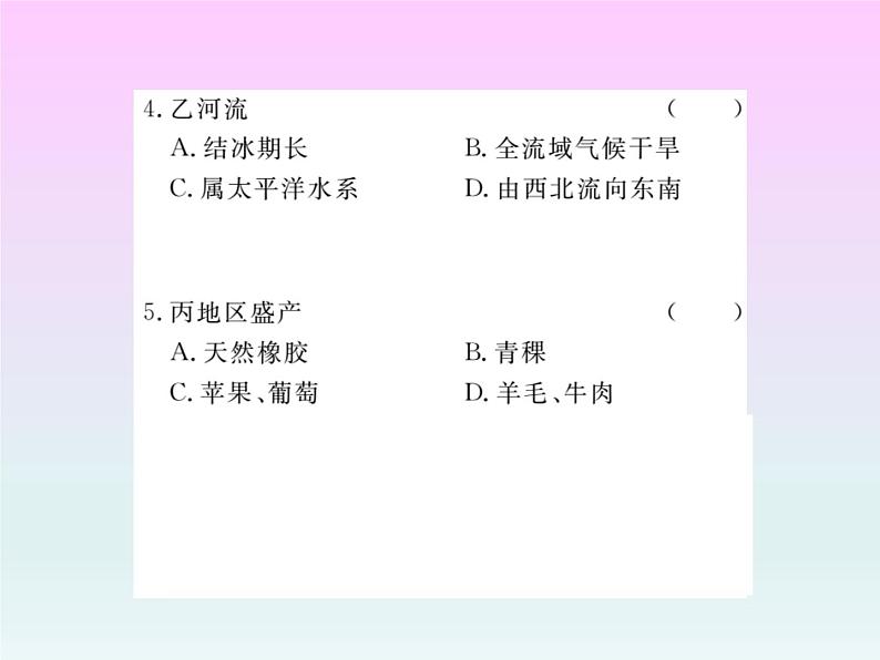 初中地理8下专题四 世界主要的区域习题课件第4页