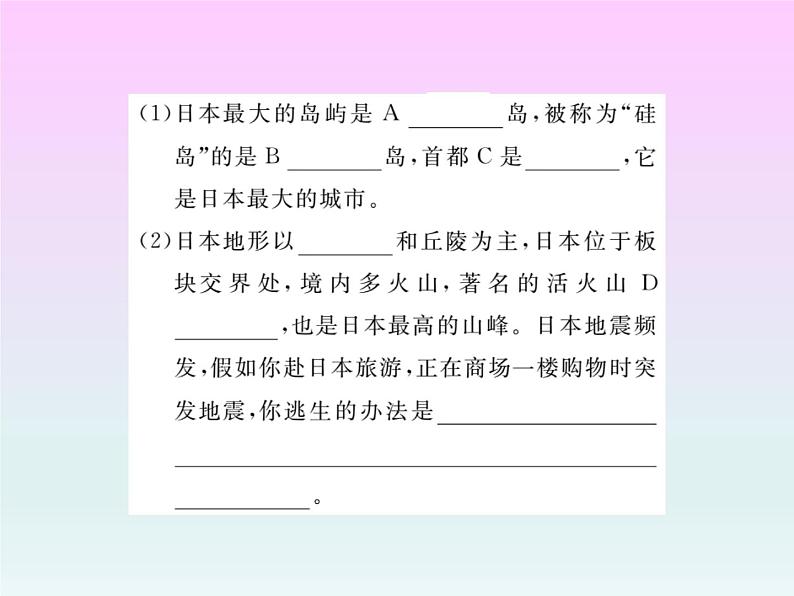 初中地理8下专题五 世界主要的国家习题课件06