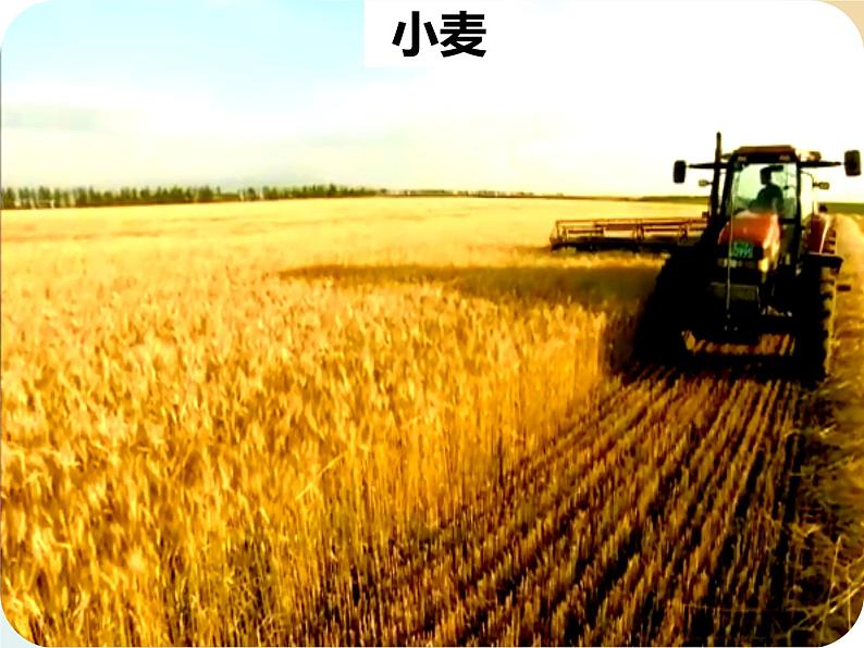 第六章第三节东北地区的产业分布课件第8页