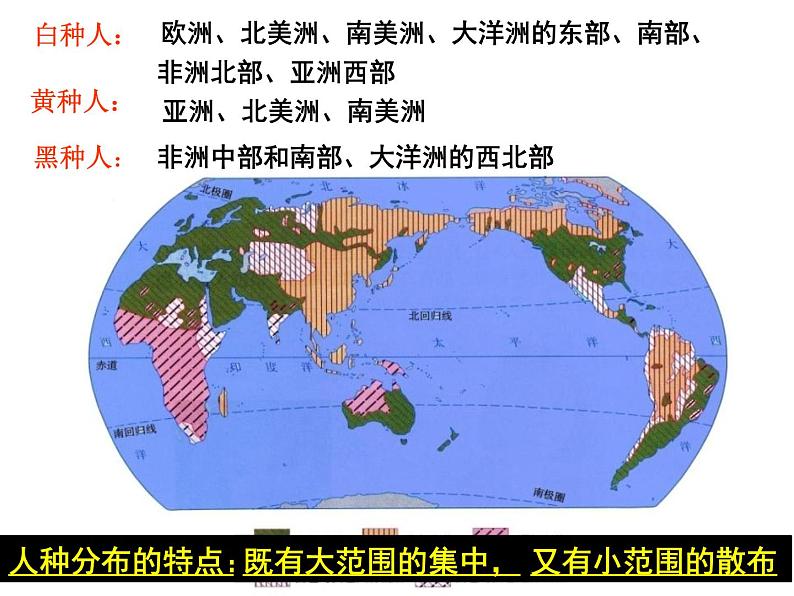 第二节 世界的语言与宗教课件PPT第6页