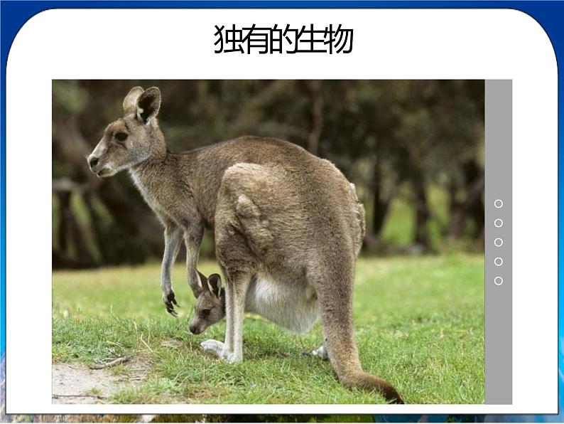 8.4《澳大利亚》课件 人教版（新课标）七年级地理下册第7页