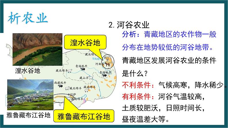 5.3.2 西北地区和青藏地区（课件）湘教版地理八年级下册第3页