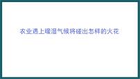 初中地理第三节 新疆维吾尔自治区的地理概况与区域开发教学演示ppt课件