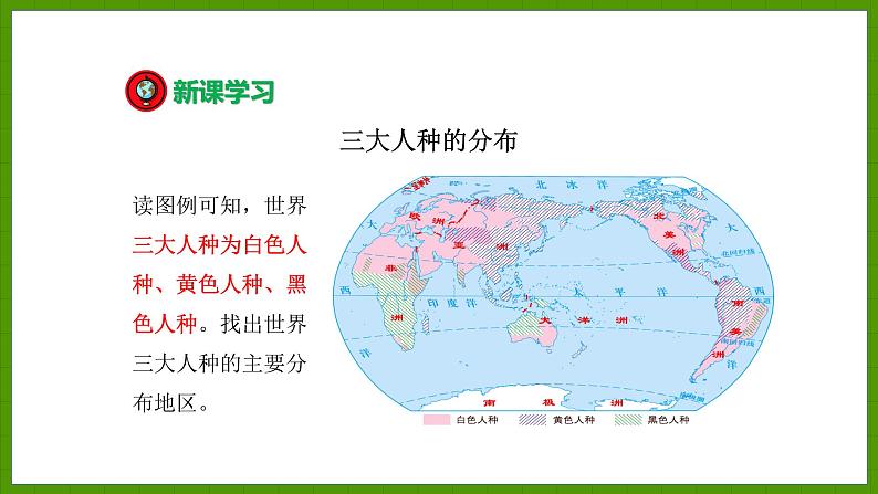 3.2 世界的人种 课件七年级地理上学期湘教版第8页