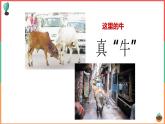 人教版（新课程标准）七年级下册第七章第三节 印度 课件