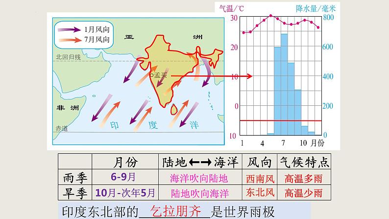 人教版地理七年级下册7.3 印度 课件06