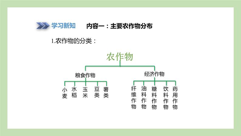 4.1.2 主要农作物分布 畜牧业分布 课件 湘教版地理八年级上册02