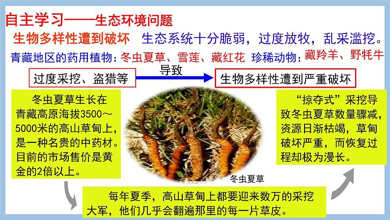 9.2 生态环境保护与资源开发 课件-2022-2023学年八年级地理下学期商务星球版第6页