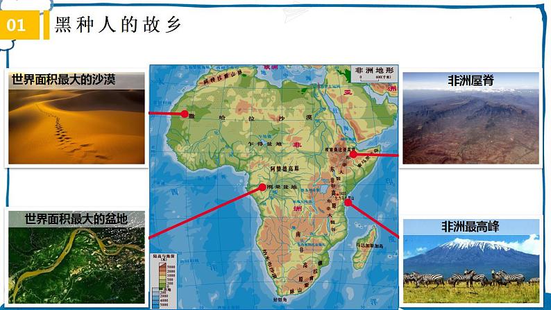 中图版地理八年级下册 6.4撒哈拉以南非洲 课件第7页