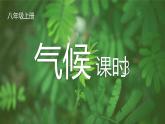 2.2.3气候-八年级上册同步优质课件（人教版）