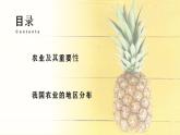 4.2.1农业-八年级上册同步优质课件（人教版）