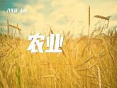 4.2.2农业-八年级上册同步优质课件（人教版）