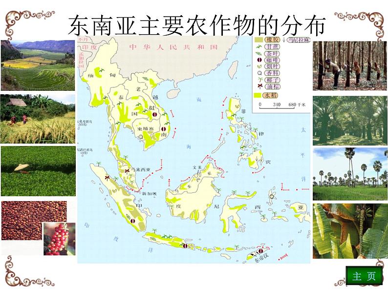 人教版地理初中7年级_第二节 东南亚_（课件7）东南亚06