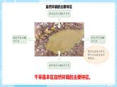 人教版地理八年级下册 8.2干旱的宝地——塔里木盆地预习课件