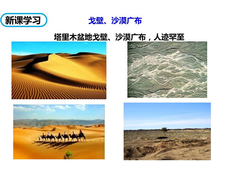 人教版地理八年级下册第八章第二节 干旱的宝地——塔里木盆地（课件）06