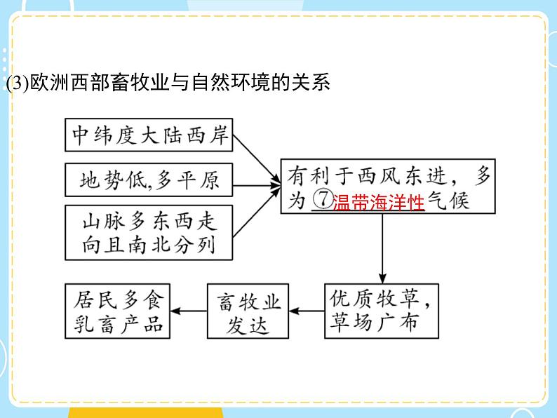 湘教版地理初中7年级_第四节 欧洲西部_欧洲西部复习课件05