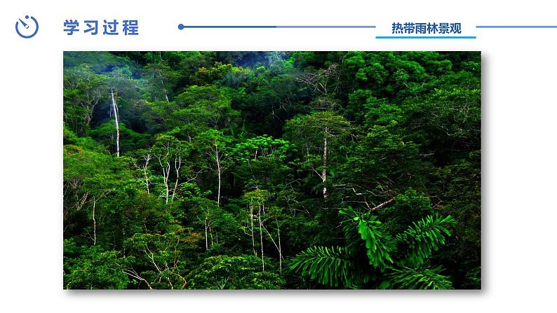 中图版八年级上册地理同步课件 第2章 第二节 世界的气候类型（第一课时）第8页