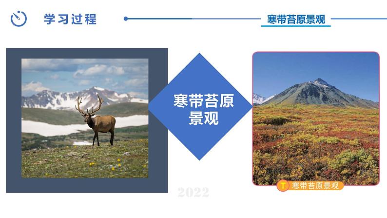 中图版八年级上册地理同步课件 第2章 第二节 世界的气候类型（第三课时）第6页