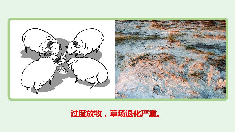 3.2土地资源（第2课时）-八年级上册同步优质课件（人教版）07