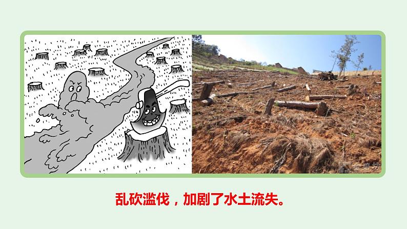 3.2土地资源（第2课时）-八年级上册同步优质课件（人教版）08