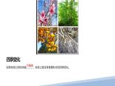 人教版七年级地理上册3地球的运动课件PPT