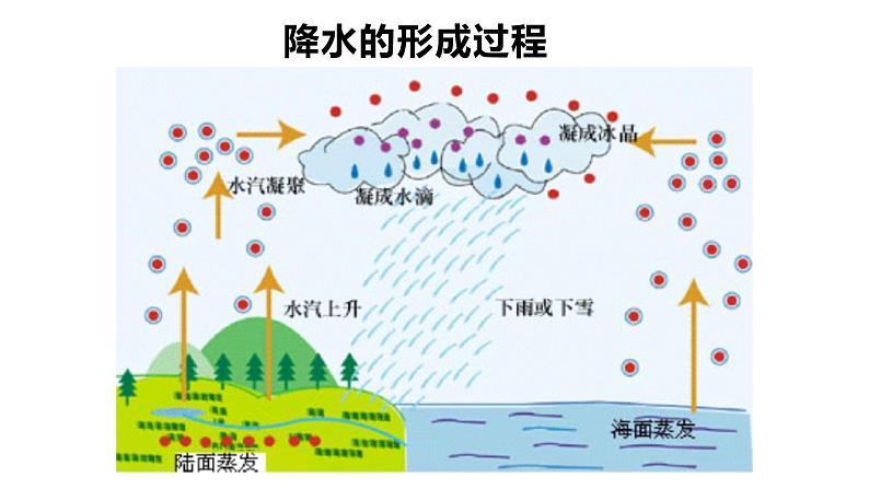 人教版七年级地理上册4降水的变化与分布课件PPT第2页