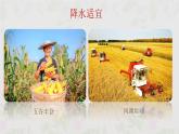 人教版七年级地理上册8降水的变化与分布课件PPT