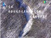 人教版地理八年级下册  “白山黑水”--东北三省（课件+教案+学案）