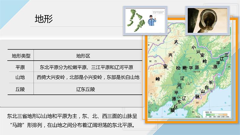 人教版地理八年级下册  “白山黑水”--东北三省（第1课时）第8页