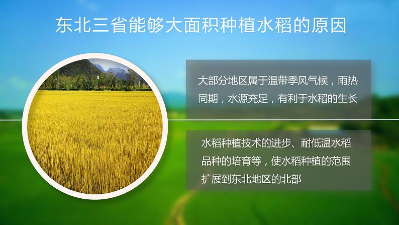 人教版地理八年级下册  “白山黑水”--东北三省（课件+教案+学案）05