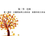 初中地理人教版 (新课标)七年级下册第二节 巴西教课内容课件ppt