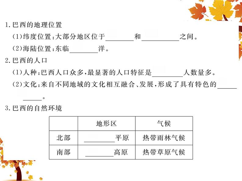 人教版地理初中7年级_第二节 巴西_（课件1）巴西第3页