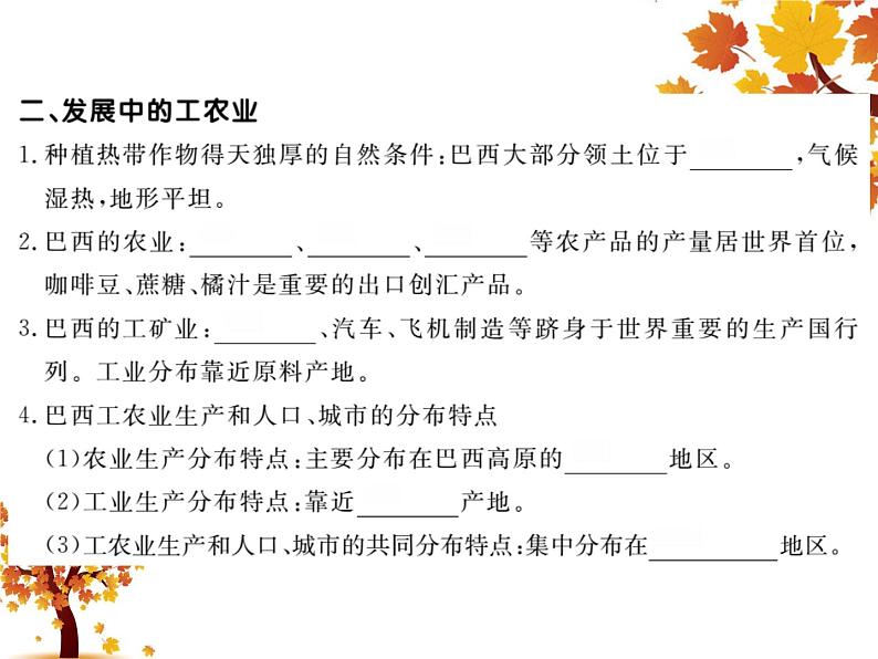 人教版地理初中7年级_第二节 巴西_（课件1）巴西第4页