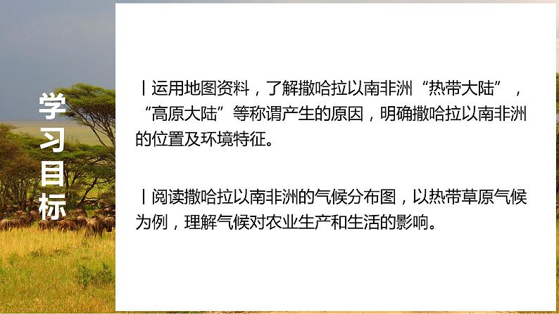 8.3撒哈拉以南的非洲 课件（第1课时）-七年级下册同步优质课件（人教版）03