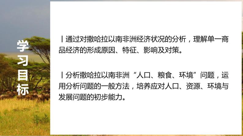 8.3撒哈拉以南的非洲（第2课时）-七年级下册同步优质课件（人教版）03