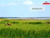 湘教版八年级下册地理课件 第5章第3节  西北地区和青藏地区（第2课时）