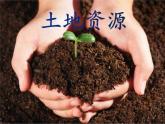 3.2中国的土地资源（精品课件）-八年级上册同步备课系列（湘教版）