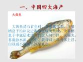3.4中国的海洋资源（精品课件）-八年级上册同步备课系列（湘教版）
