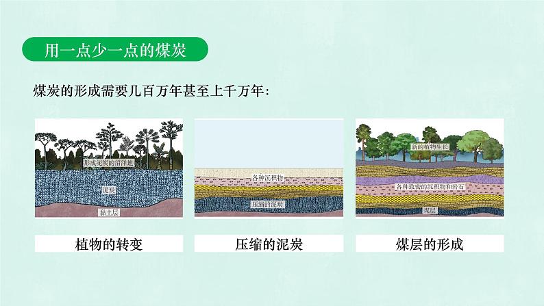 3.1自然资源的基本特征-八年级上册同步优质课件（人教版）第8页