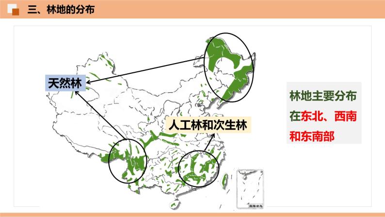 3.1  中国的土地资源  （识图课件）-八年级地理上学期期末复习大串讲（地图篇）05