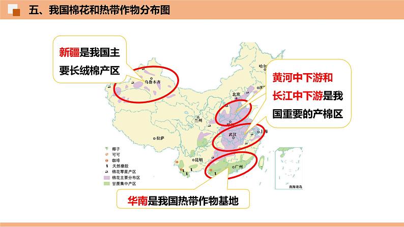 4.1 农业  （识图课件）-八年级地理上学期期末复习大串讲（地图篇）07