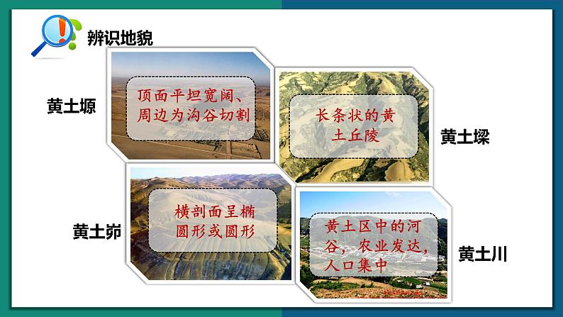 6.3 黄土高原（（课件+同步练习））-2022-2023学年八年级地理下册同步精品课堂（商务星球版）08