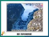 10.2 海洋利用与保护（课件）-2022-2023学年八年级地理下册同步精品课堂（商务星球版）